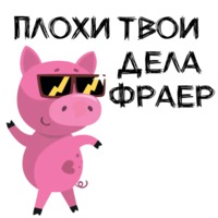 Свинка