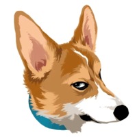 Милый корги
