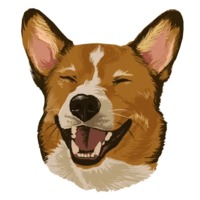 Милый корги