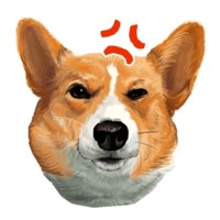 Милый корги