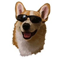 Милый корги