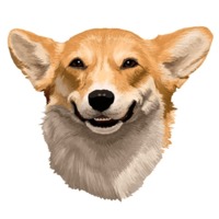 Милый корги