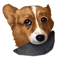 Милый корги