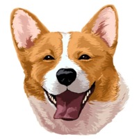 Милый корги
