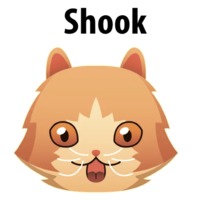 Кошачий слэнг