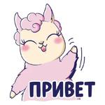 Лама без драмы