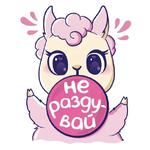 Лама без драмы