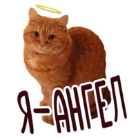 Даша Блаженко