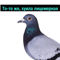 Деградач