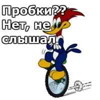Дятел Вуди