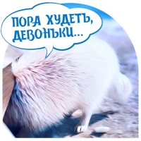Собакевичи