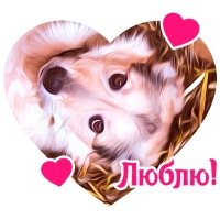 Собакевичи