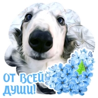 Собакевичи