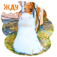 Собакевичи