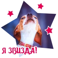 Собакевичи