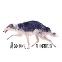Собакевичи