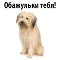 СОБАКИ против КОТОВ