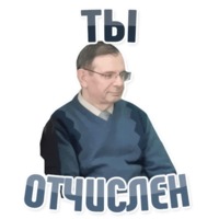 Дельфин под спайсом