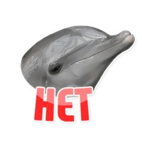 Дельфин под спайсом