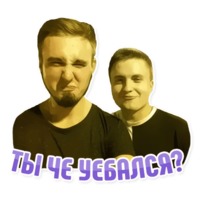 Дельфин под спайсом