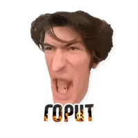 Дельфин под спайсом