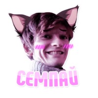 Дельфин под спайсом