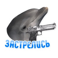 Дельфин под спайсом
