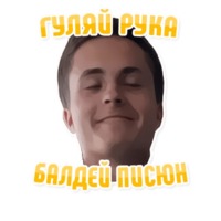 Дельфин под спайсом