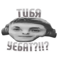 Дельфин под спайсом