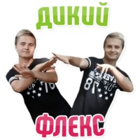 Дельфин под спайсом
