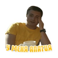 Дельфин под спайсом
