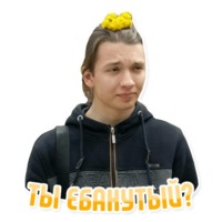 Дельфин под спайсом