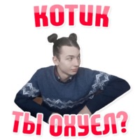 Дельфин под спайсом