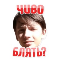 Дельфин под спайсом