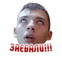 Дельфин под спайсом