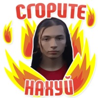 Дельфин под спайсом