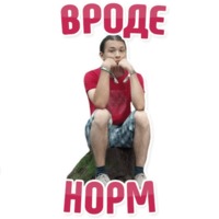 Дельфин под спайсом