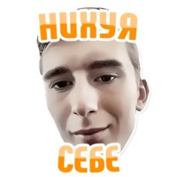 Дельфин под спайсом