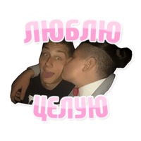 Дельфин под спайсом