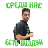 Дельфин под спайсом
