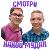 Дельфин под спайсом