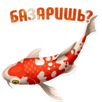 Дельфин под спайсом