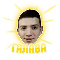 Дельфин под спайсом