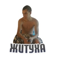 Дельфин под спайсом