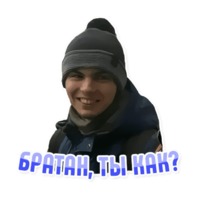 Дельфин под спайсом