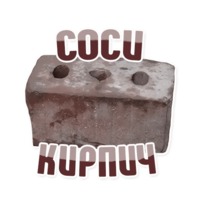 Дельфин под спайсом