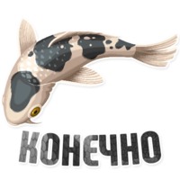 Дельфин под спайсом
