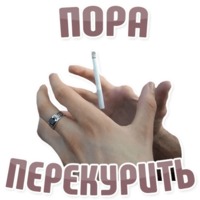 Дельфин под спайсом