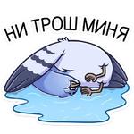 Голубь Михаил :: @stickroom