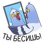 Голубь Михаил :: @stickroom